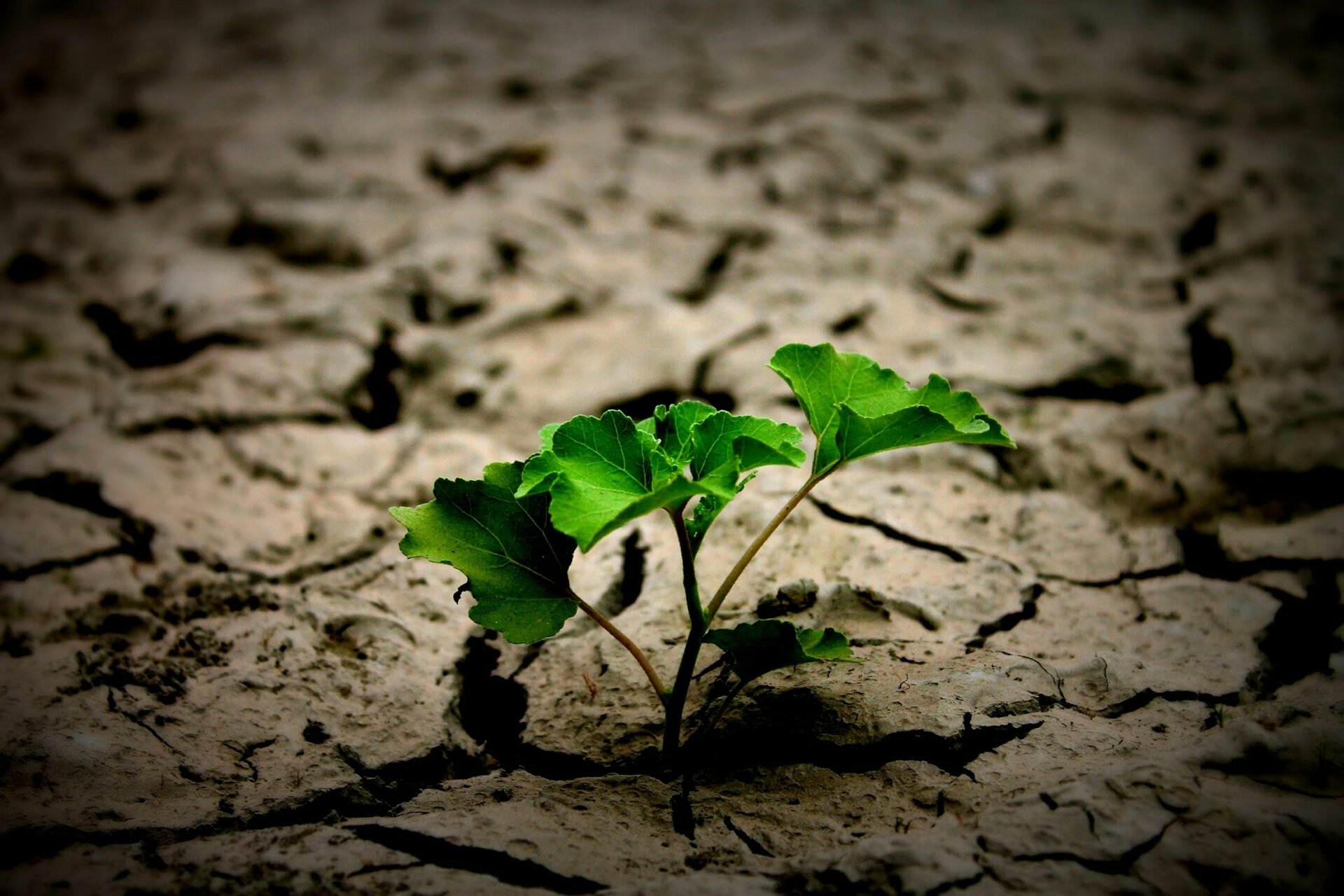 Mindset e resilienza: trasforma la ricaduta in forza